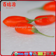 Qualidade superior wolfberry benefícios giji preço ningxia wolfberry